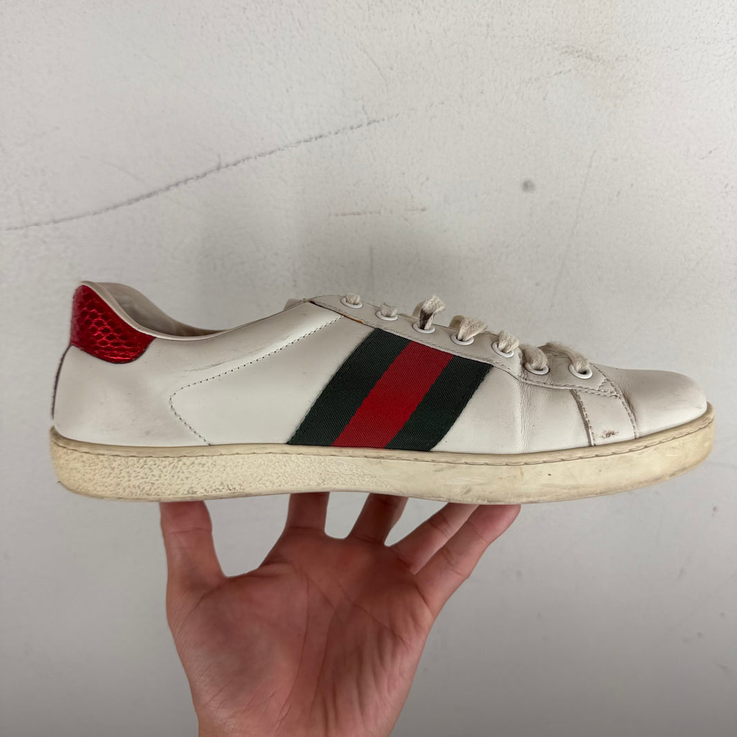 Gucci Bee Ace Sneakers