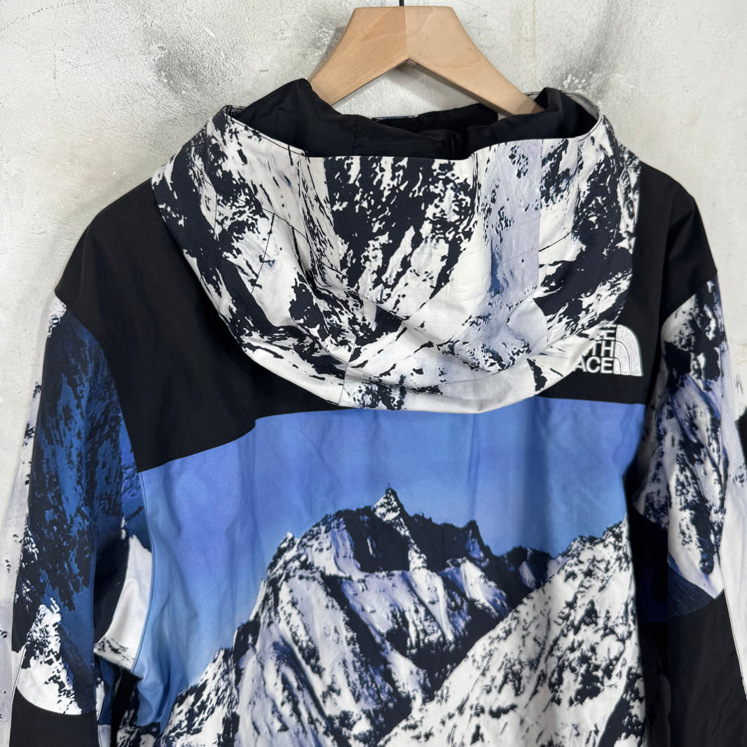 Supreme x TNF Mountain Jacket