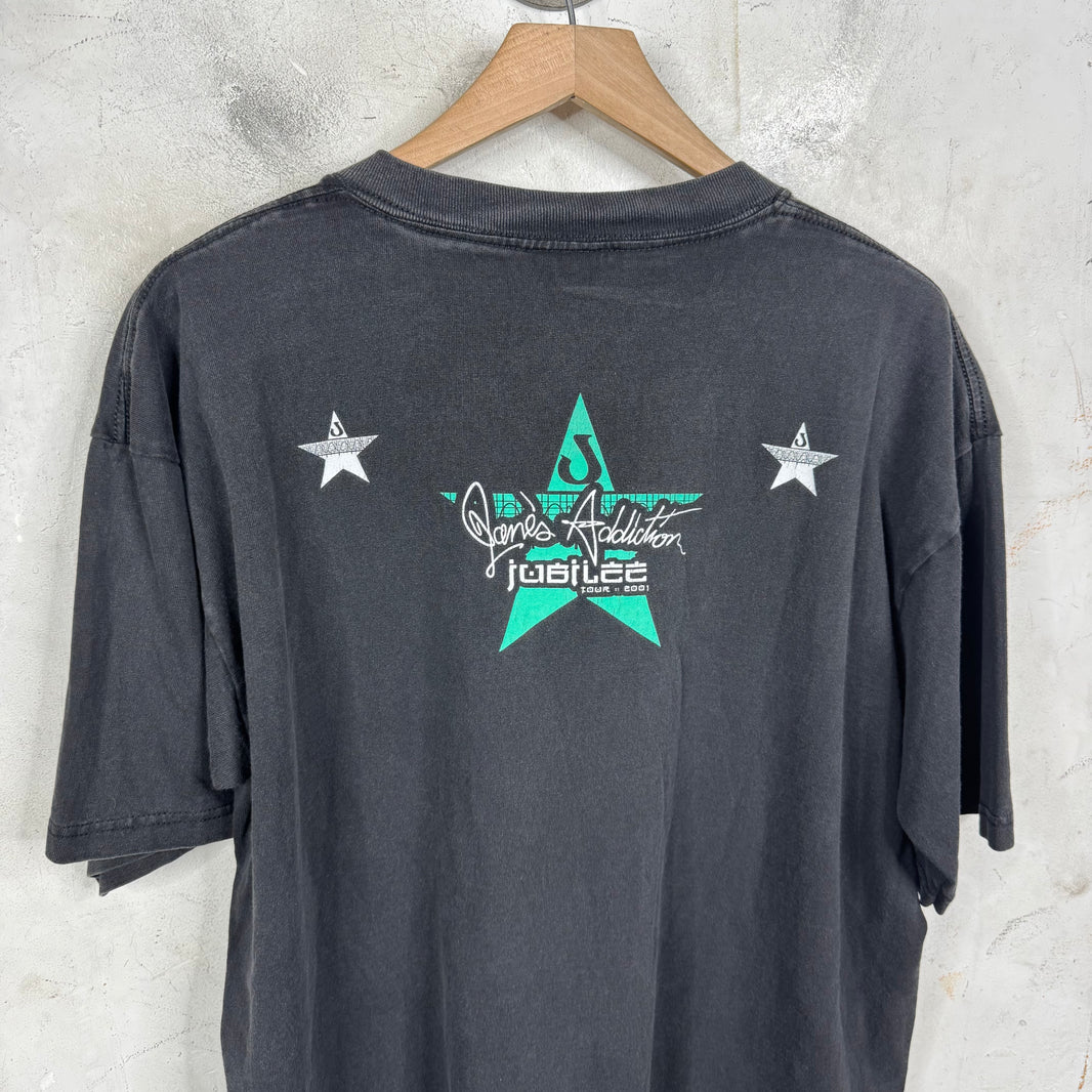Vintage Janes Addiction Nothing Shocking T-Shirt