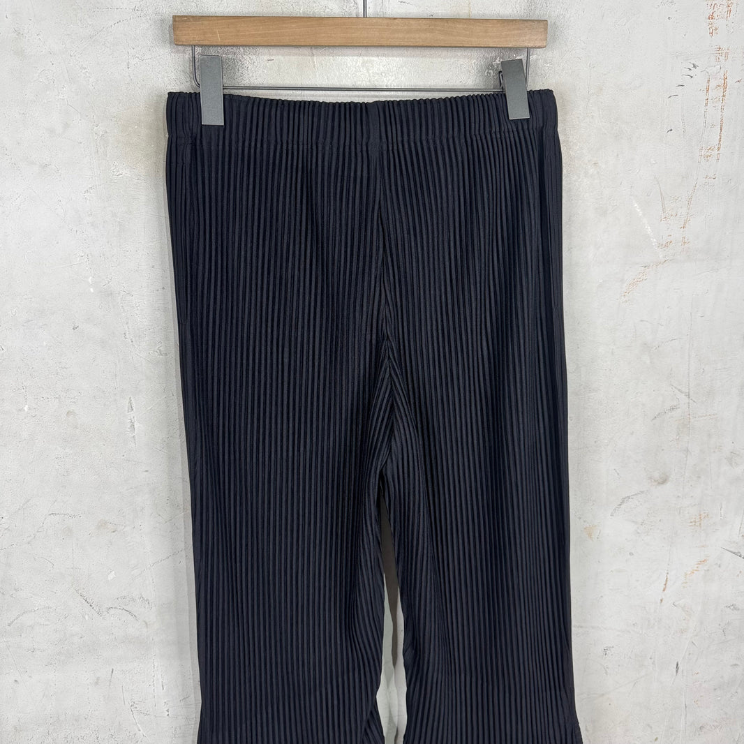 Issey Miyake Pleates Flared Pants
