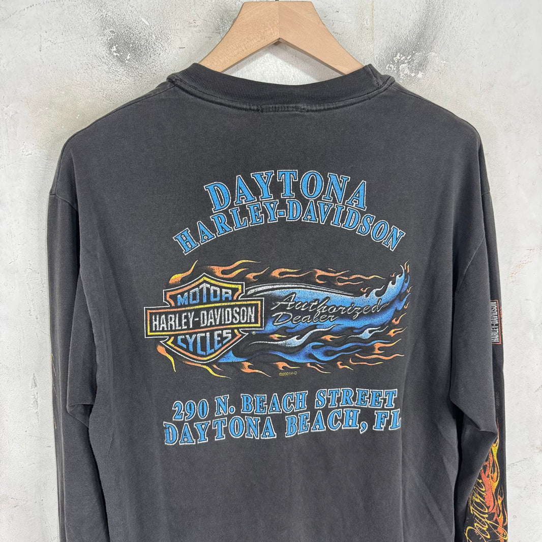 Vintage Harley Davidson 01' Smoked L/S T-Shirt