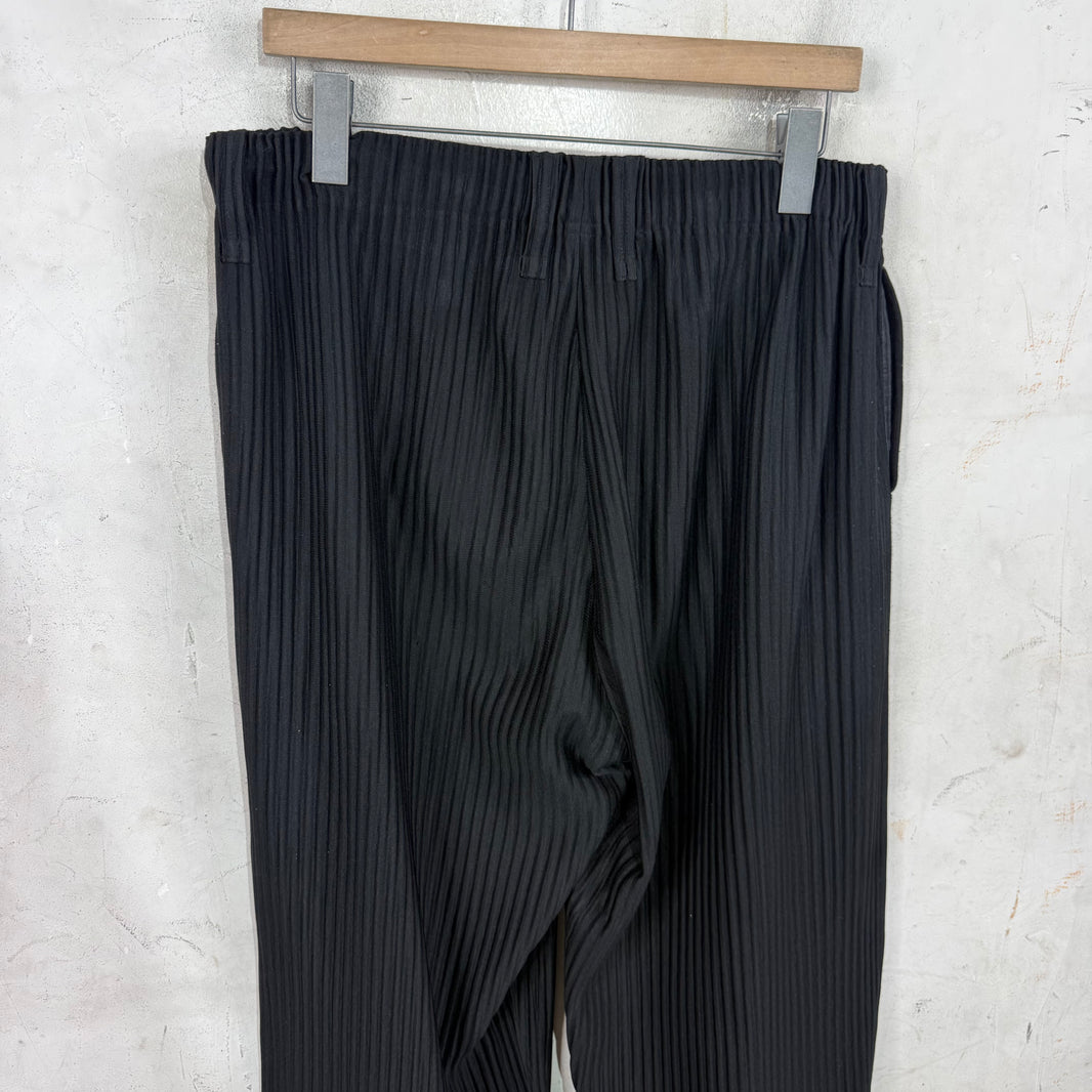 Issey Miyake Black Loose Pleates Pants