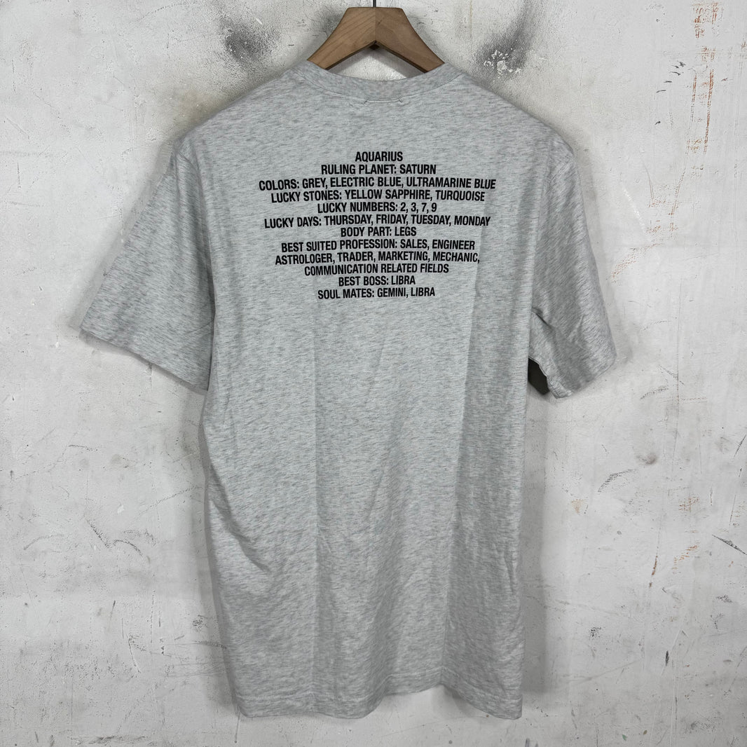 Vetements Grey Aquarius T-Shirt