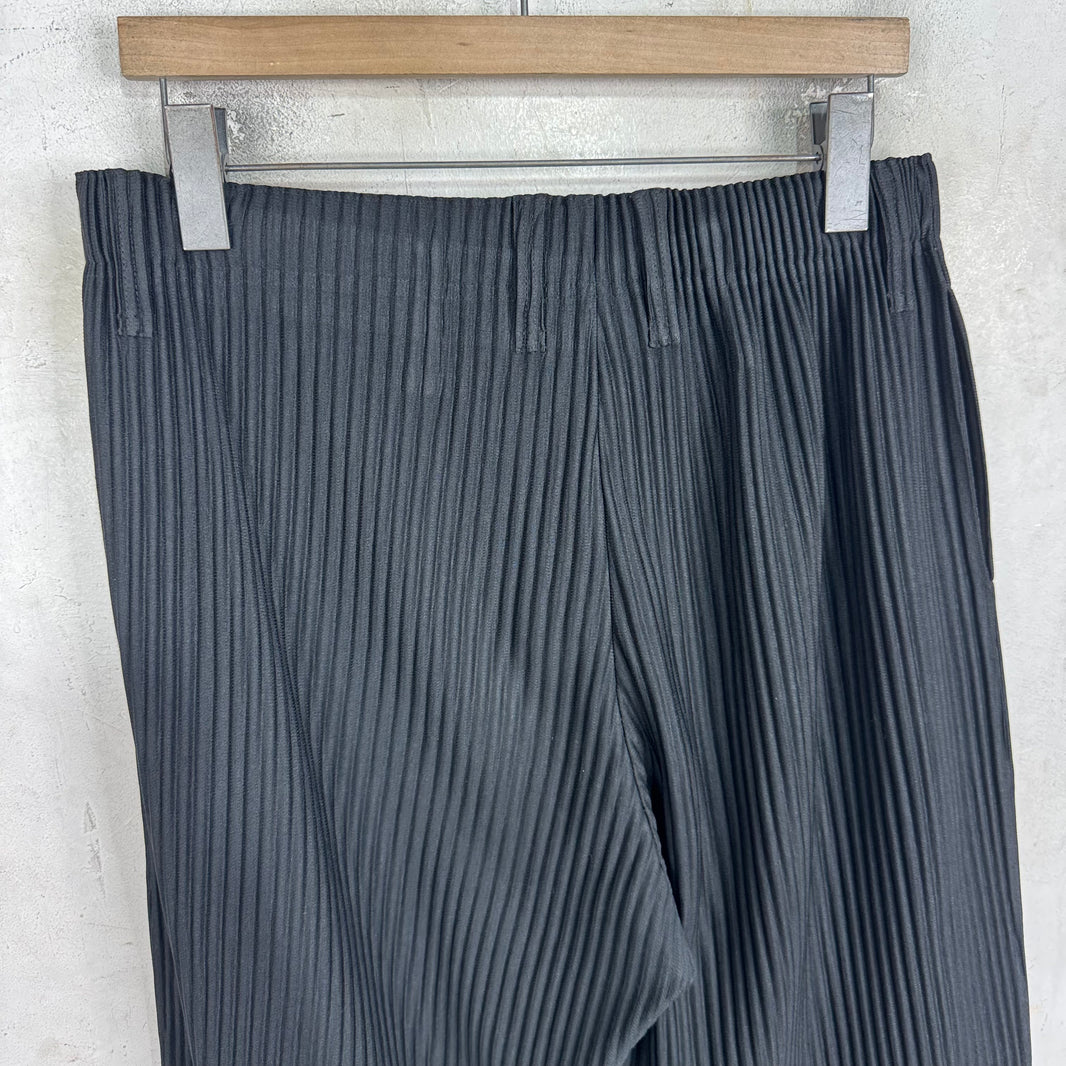 Issey Miyake Black Pleated Trousers