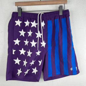 CPFM Stussy Flag Shorts