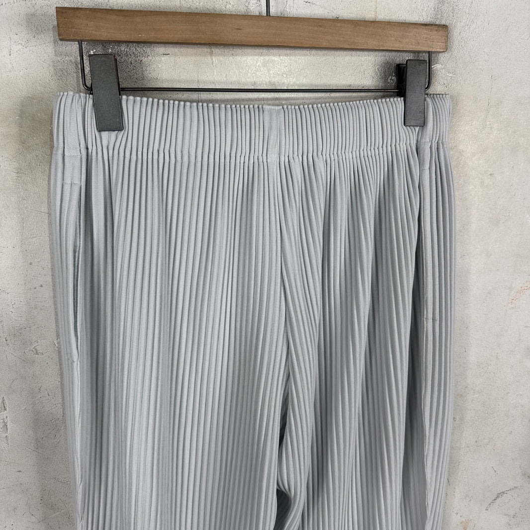 Issey Miyake Homme Plisse Light Grey Pants
