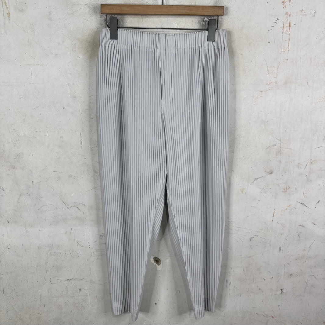 Issey Miyake Homme Plisse Light Grey Pants