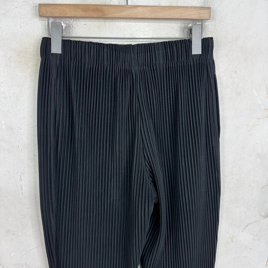 Issey Miyake Homme Plisse Black Trousers