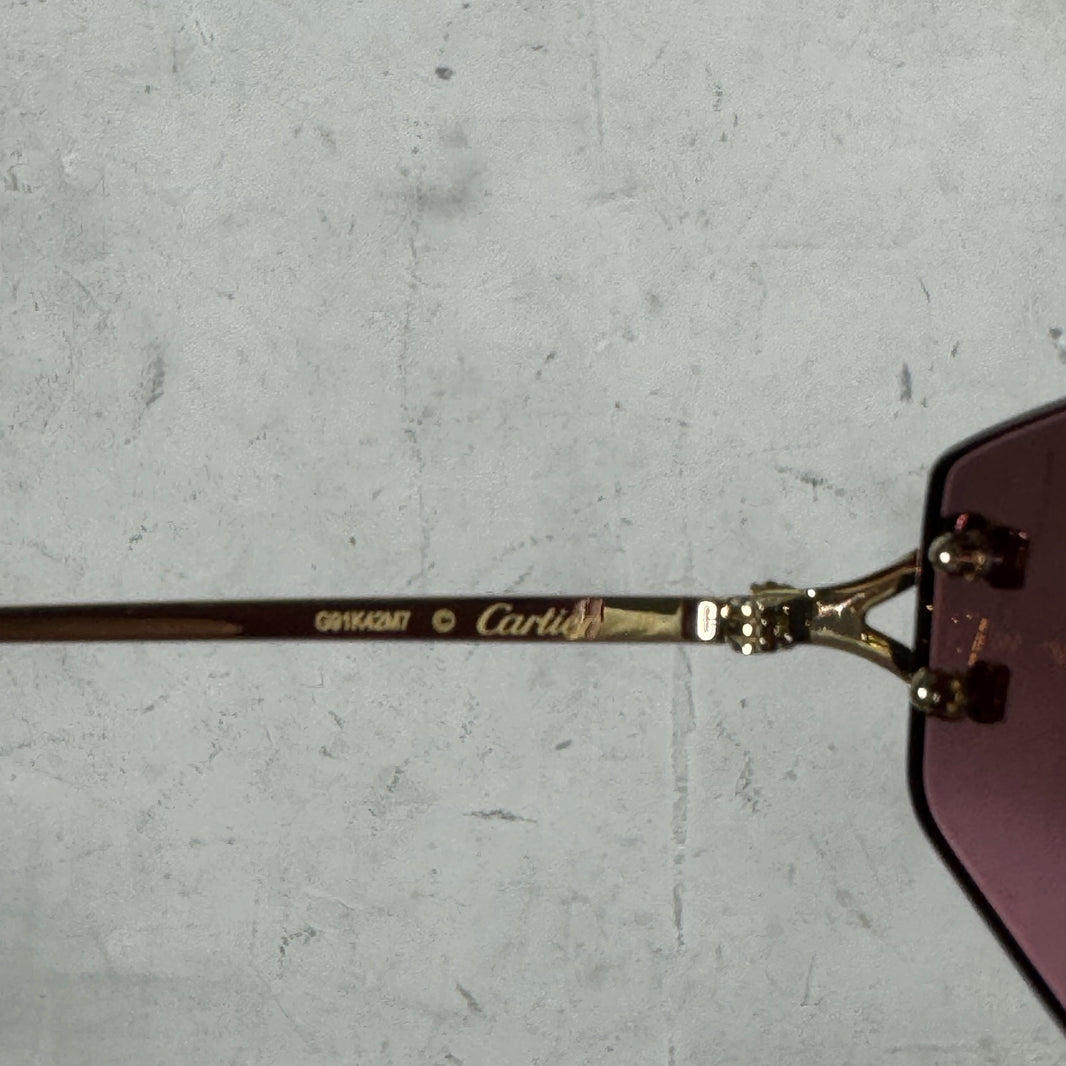 Cartier CT0620S Wire Sunglasses