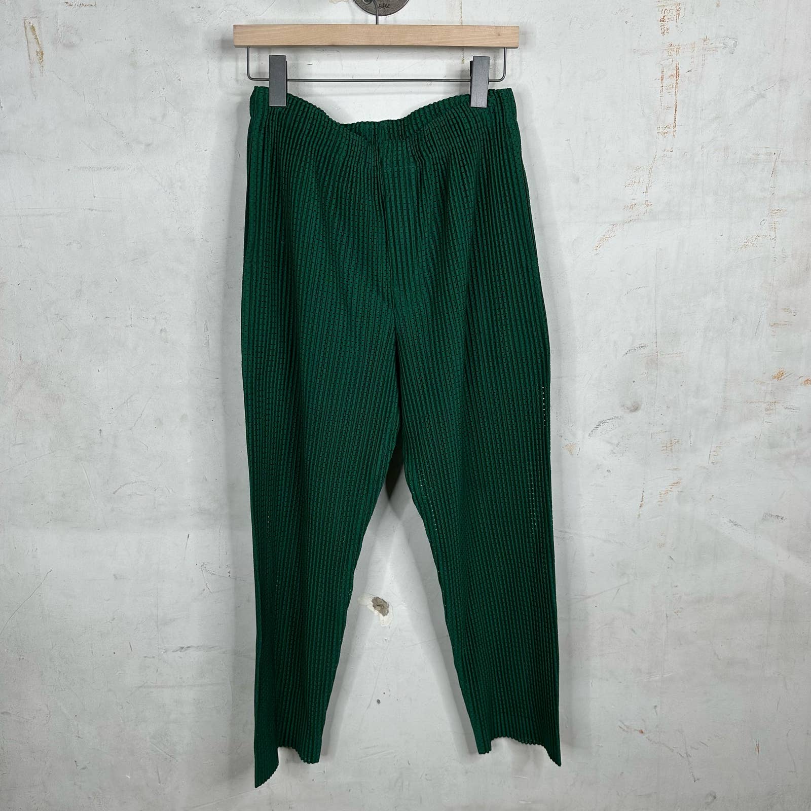 Issey Miyake Green Pleates Mesh Pants