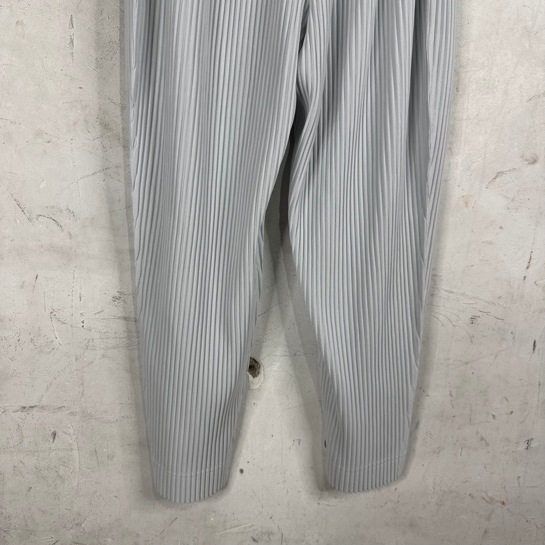 Issey Miyake Homme Plisse Light Grey Pants