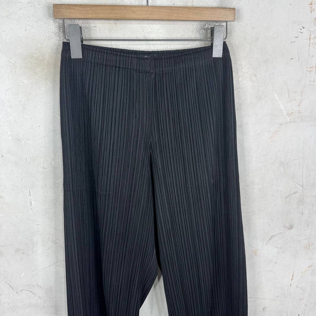 Issey Miyake Pleates Please Black Pants