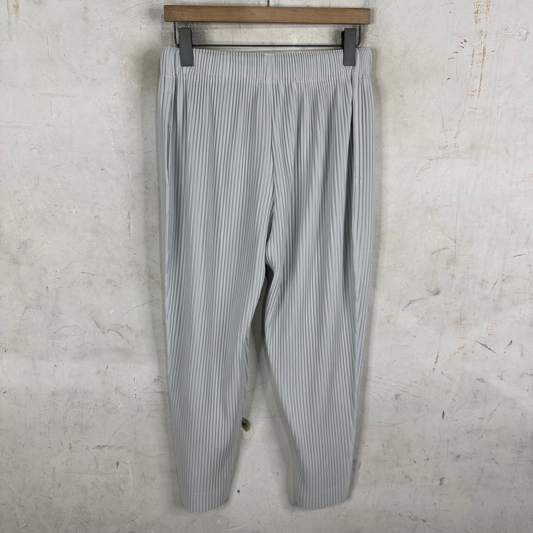 Issey Miyake Homme Plisse Light Grey Pants