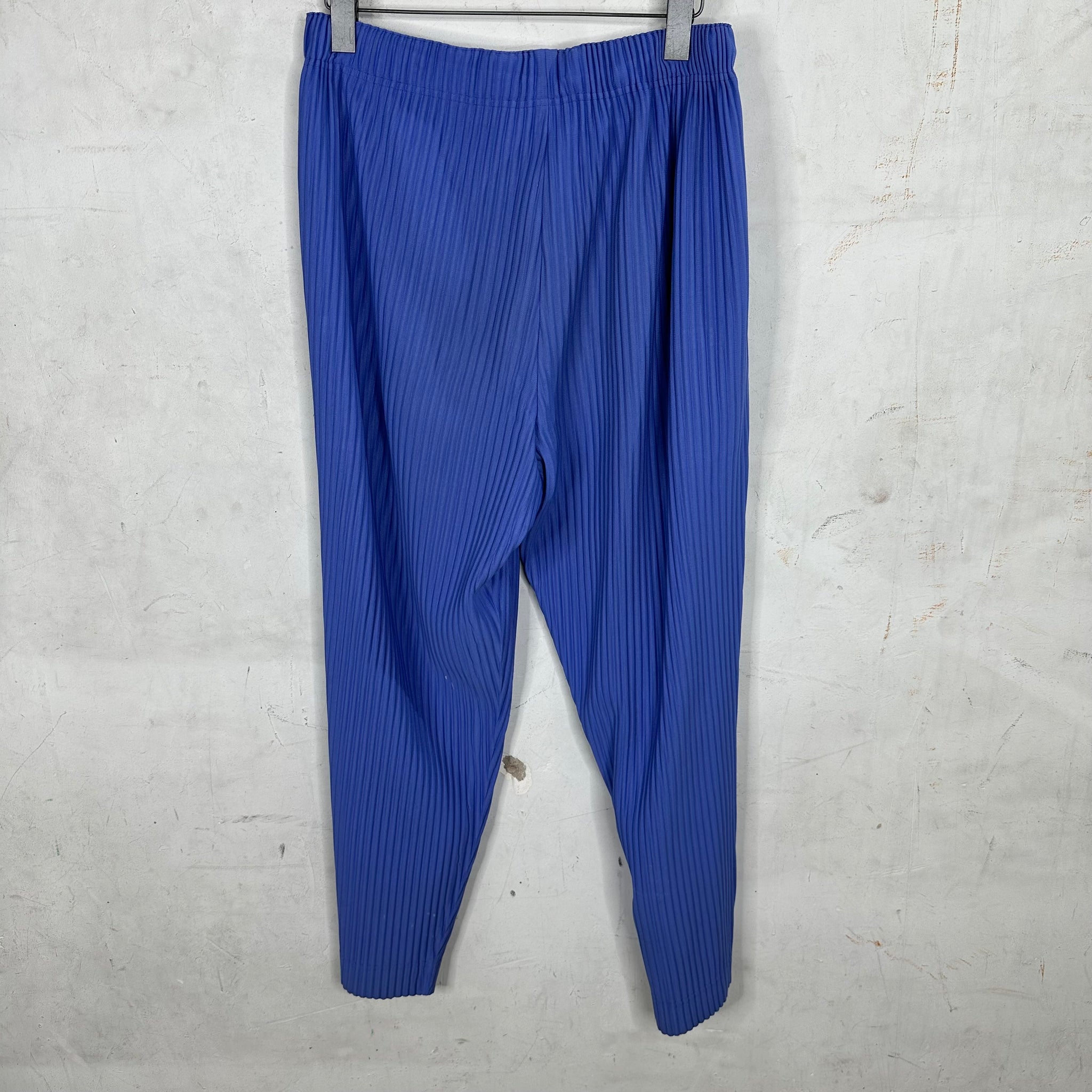 Issey Miyake Periwinkle Pleated Trousers