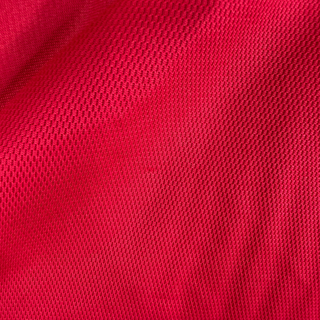 Balenciaga Pride Lion Crest Technical Jersey