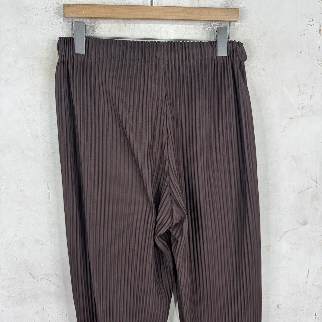Issey Miyake Homme Plisse Brown Balloon Pants