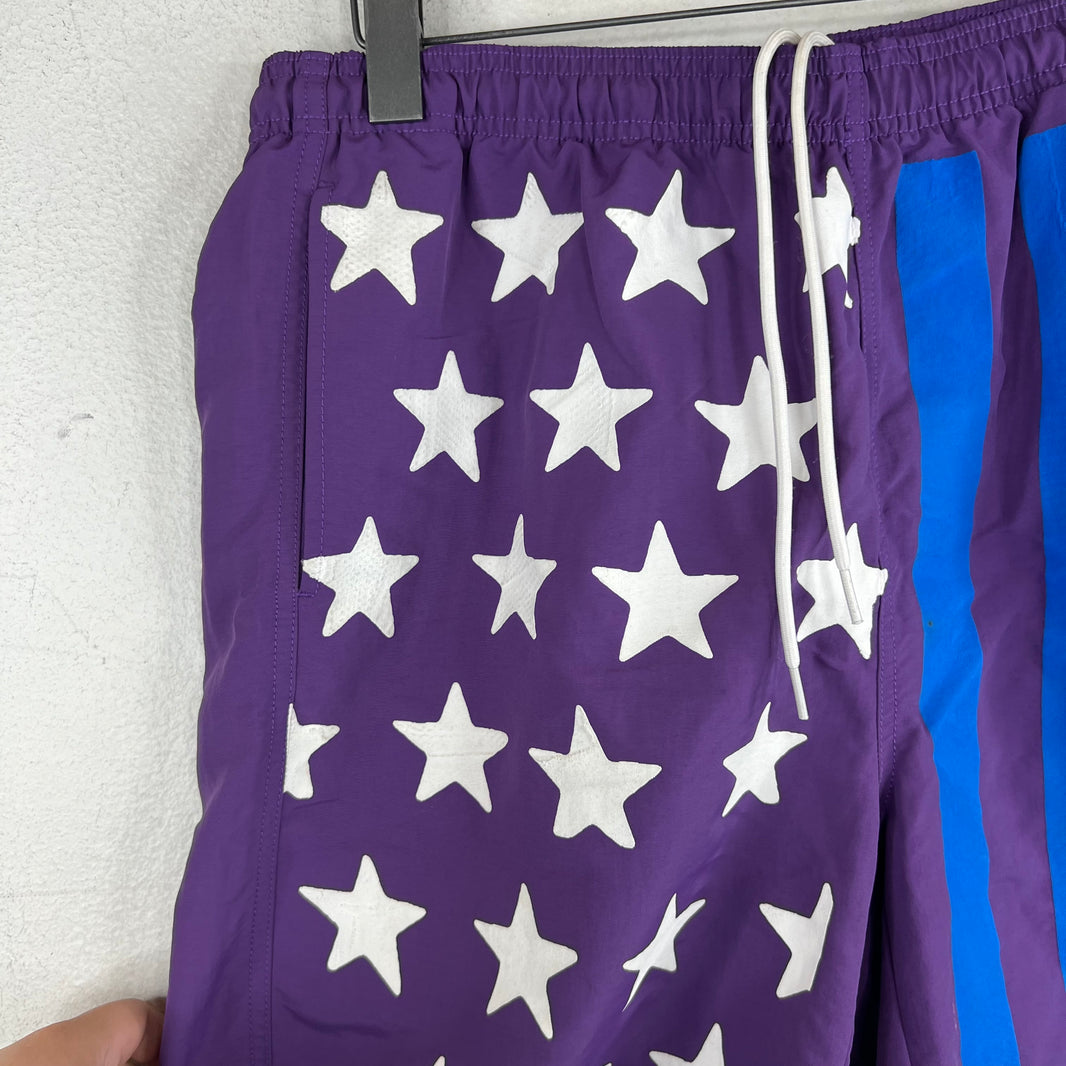 CPFM Stussy Flag Shorts
