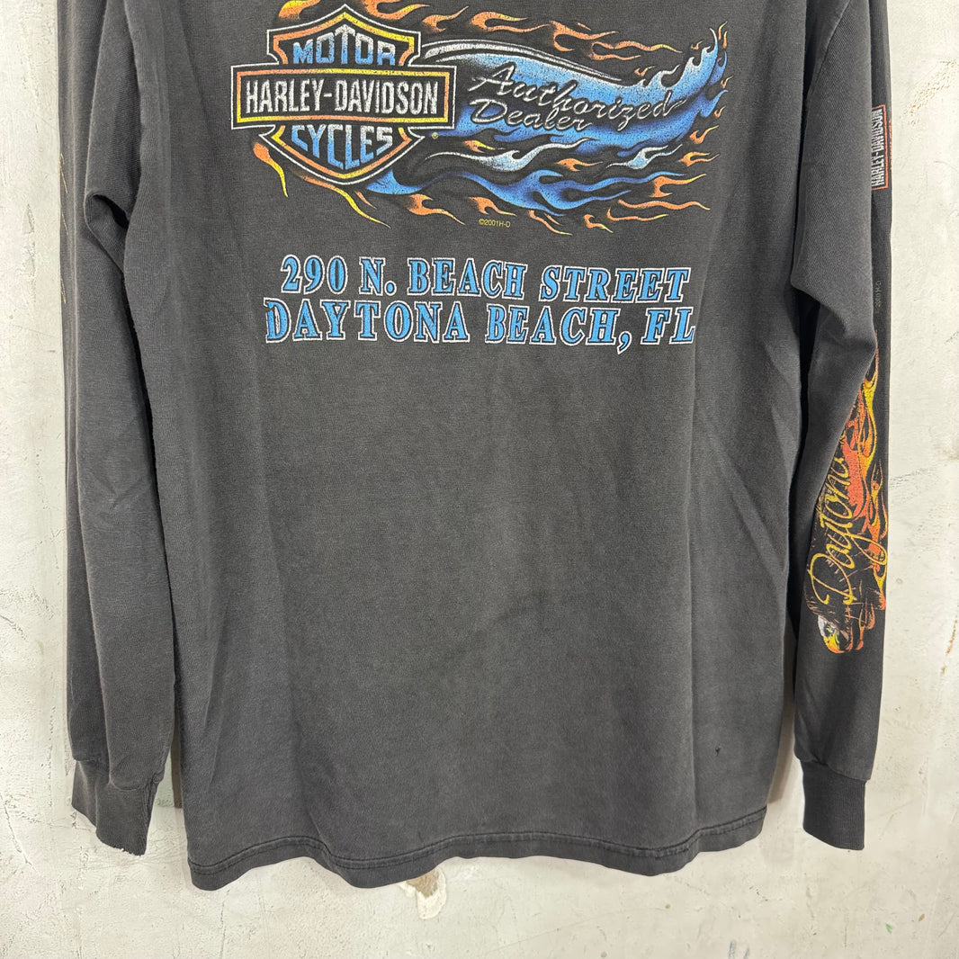 Vintage Harley Davidson 01' Smoked L/S T-Shirt