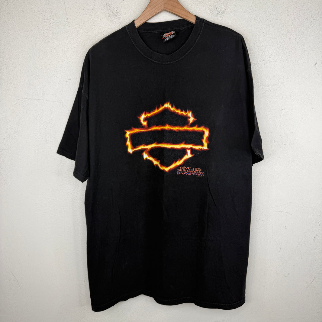 Vintage Harley Davidson Colboch Flame Logo T-Shirt