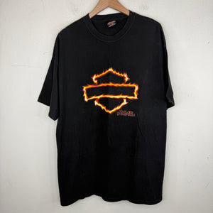 Vintage Harley Davidson Colboch Flame Logo T-Shirt