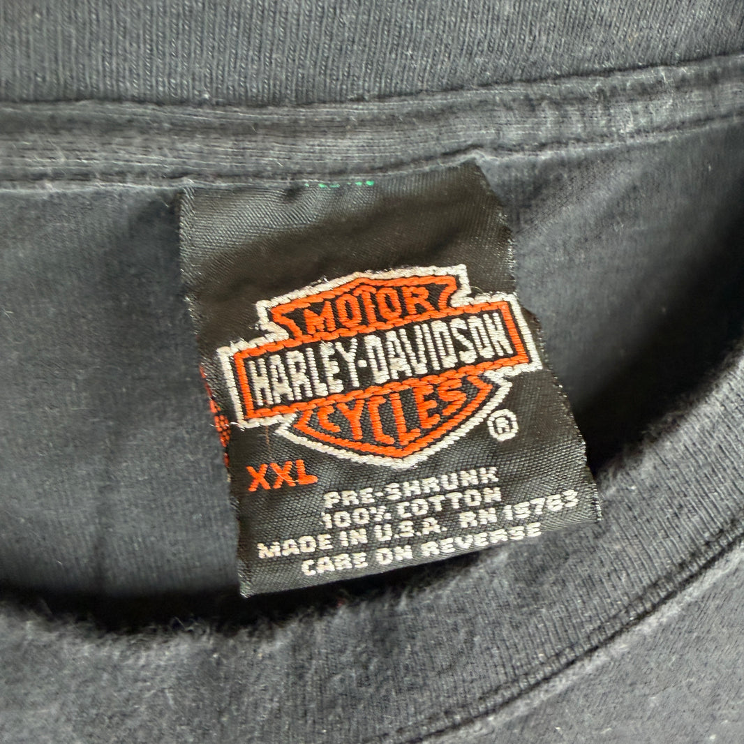 Vintage Harley Davidson Colboch Flame Logo T-Shirt