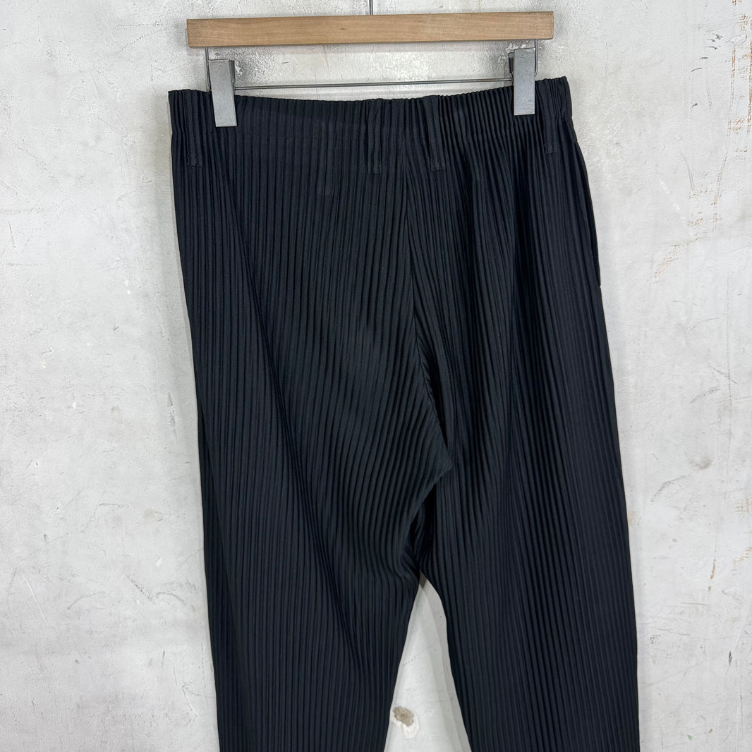 Issey Miyake Black Pleated Trousers