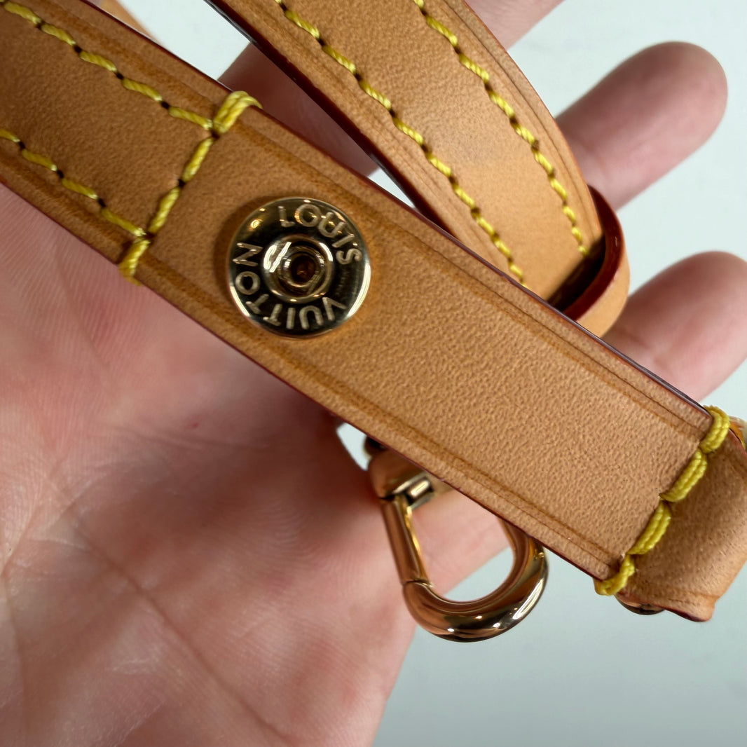 Louis Vuitton Nano Boulogne Bag