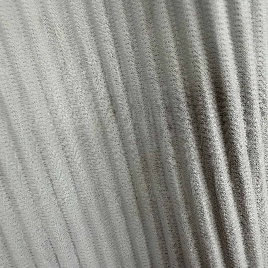 Issey Miyake Plisse Gray Pants