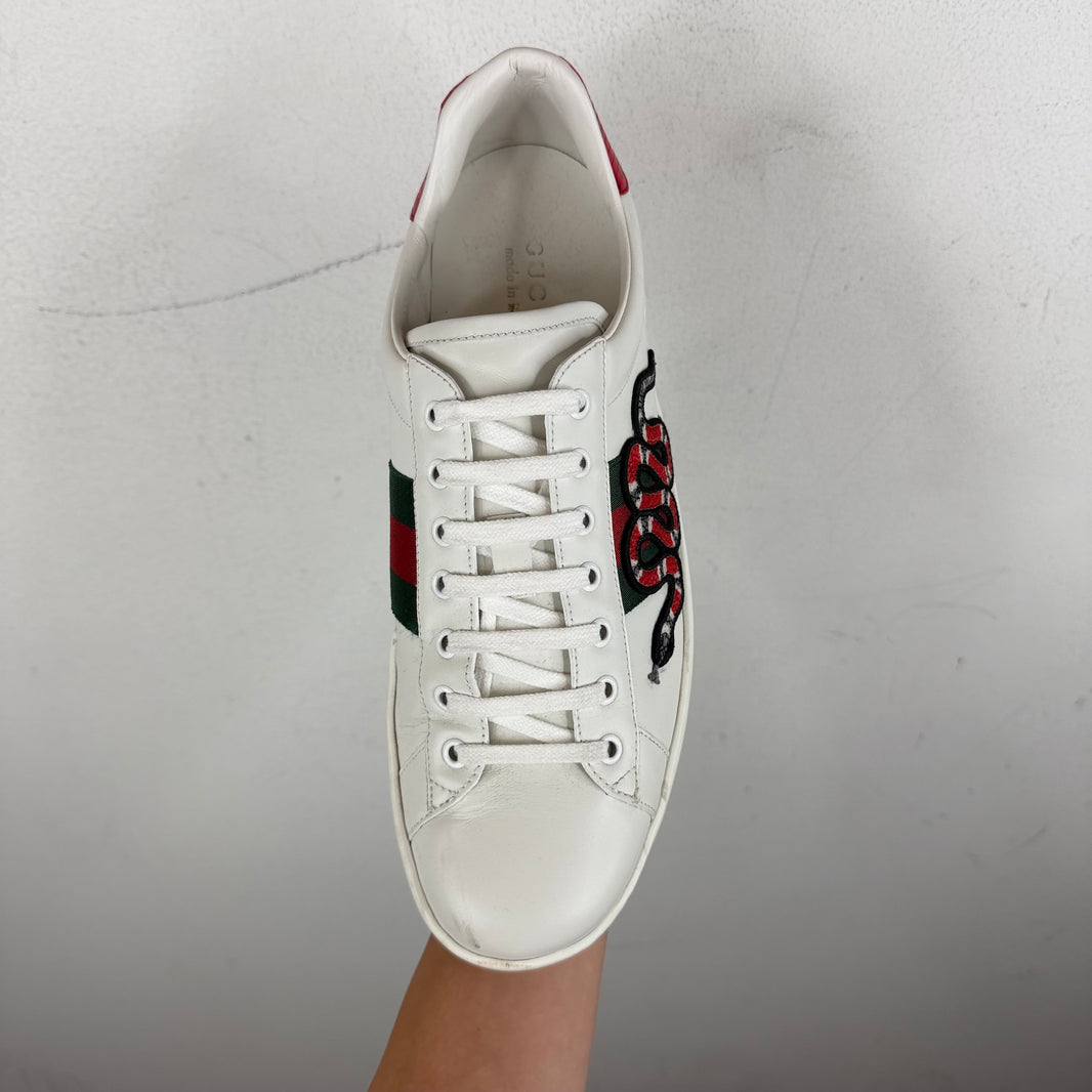 Gucci Snake Ace Sneakers