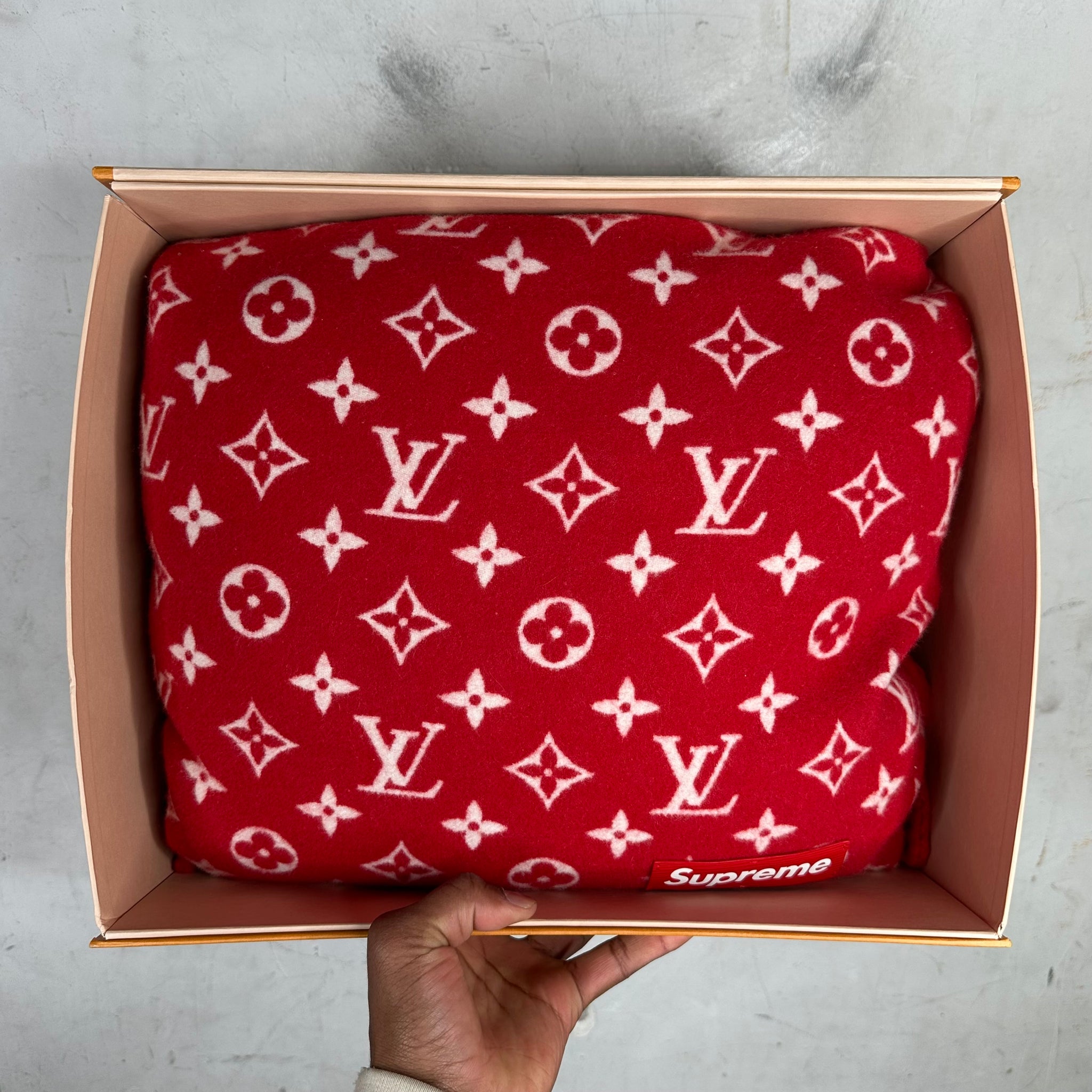 Louis Vuitton x Supreme Monogram Pillow