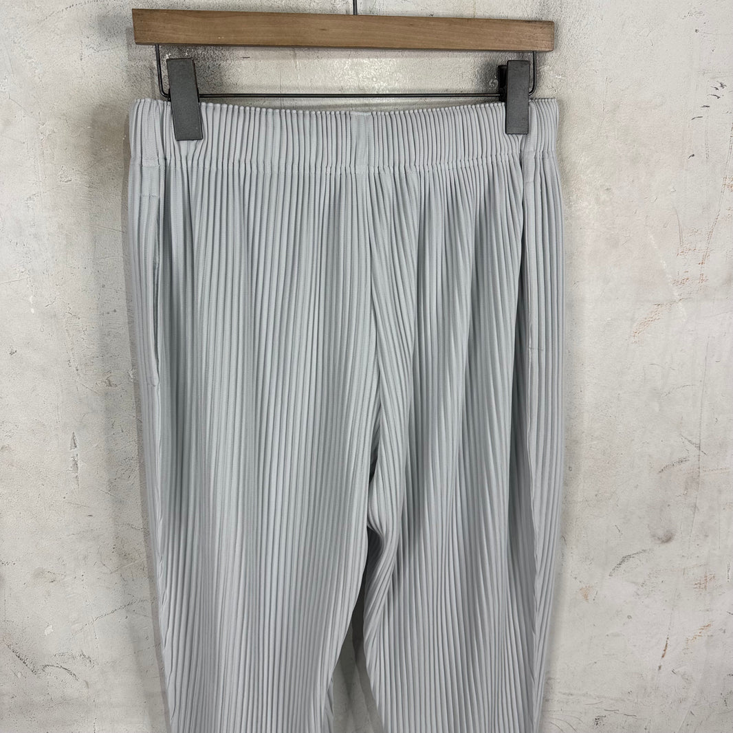 Issey Miyake Homme Plisse Light Grey Pants