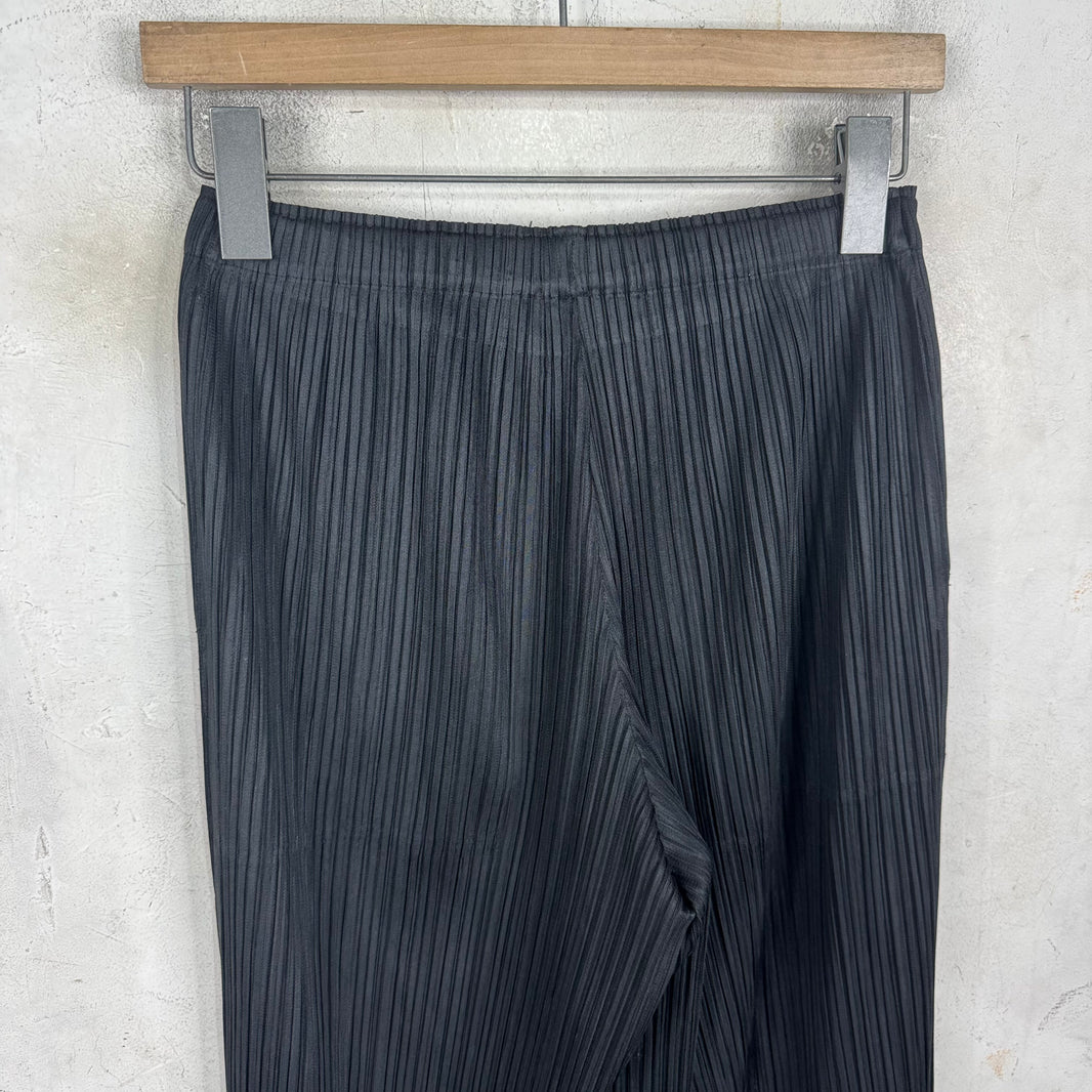 Issey Miyake Pleates Please Black Pants