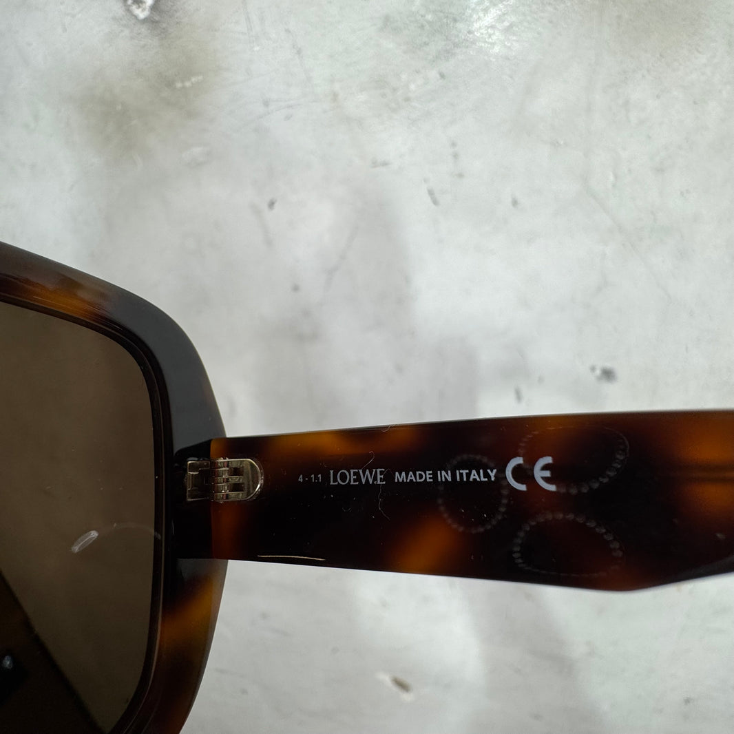 Loewe LW40071U Sunglasses