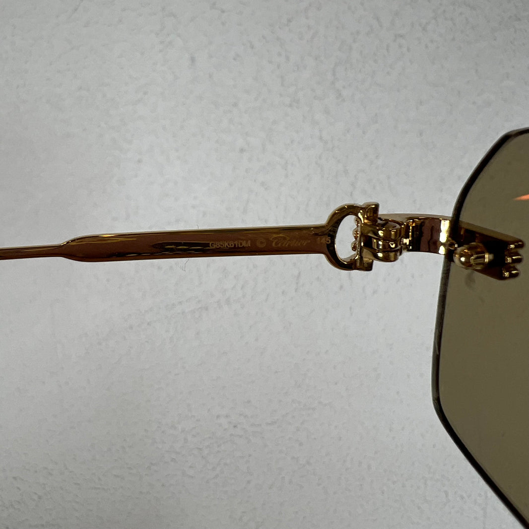 Cartier CT0271S Sunglasses