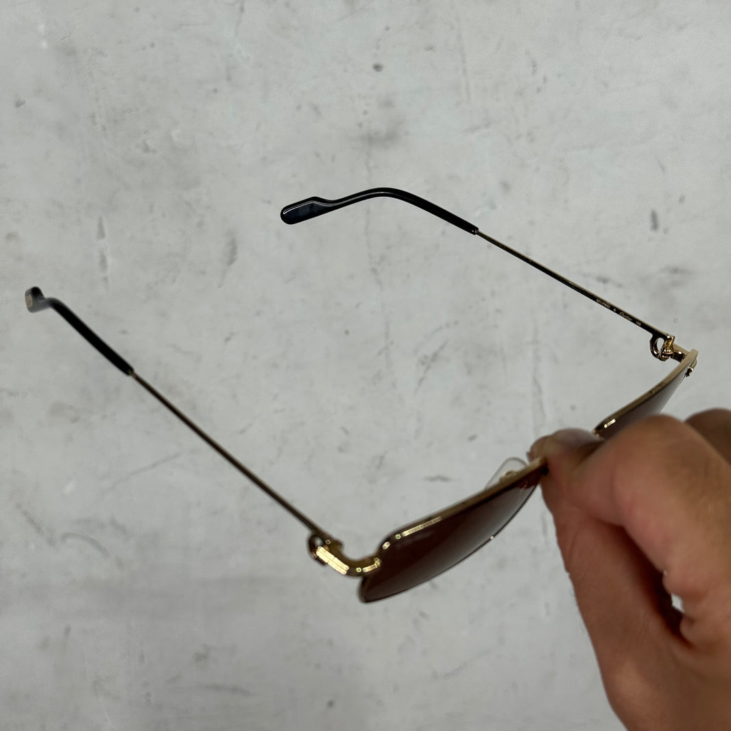 Cartier CT0501S Wire Sunglasses