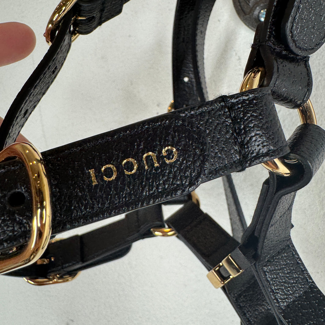 Gucci Dog Harness & Collar