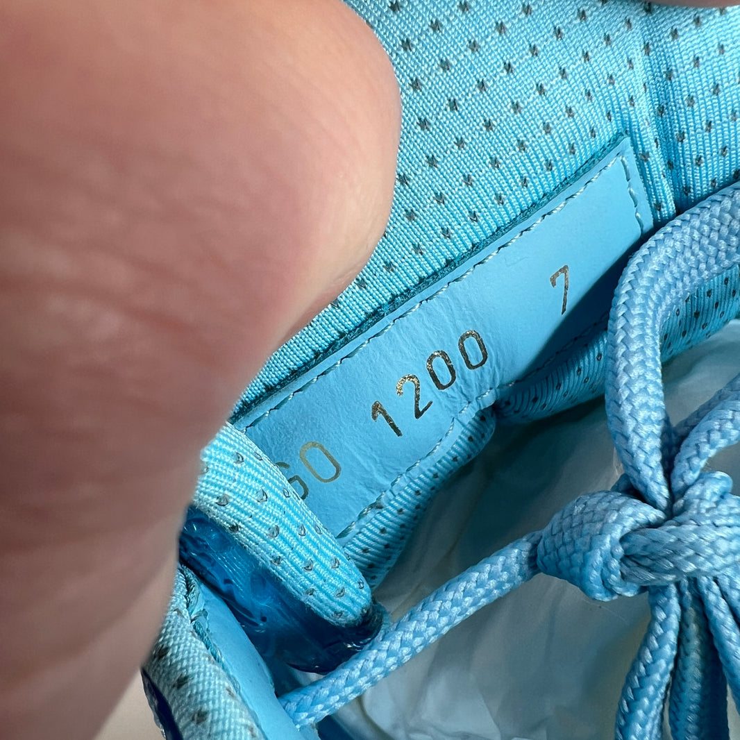 Louis Vuitton Blue Clear Trainer Lows