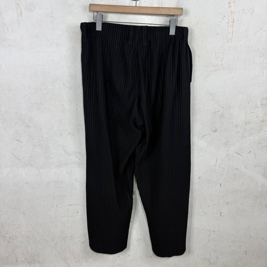 Issey Miyake Black Loose Pleates Pants