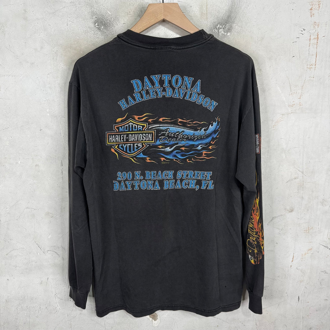 Vintage Harley Davidson 01' Smoked L/S T-Shirt