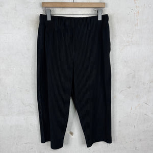 Issey Miyake Homme Plisse Black Capris