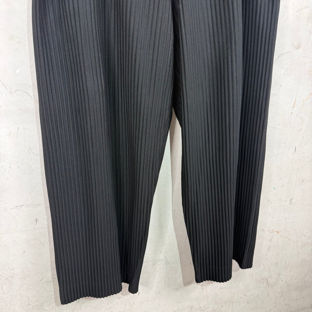 Issey Miyake Black Loose Pleates Pants