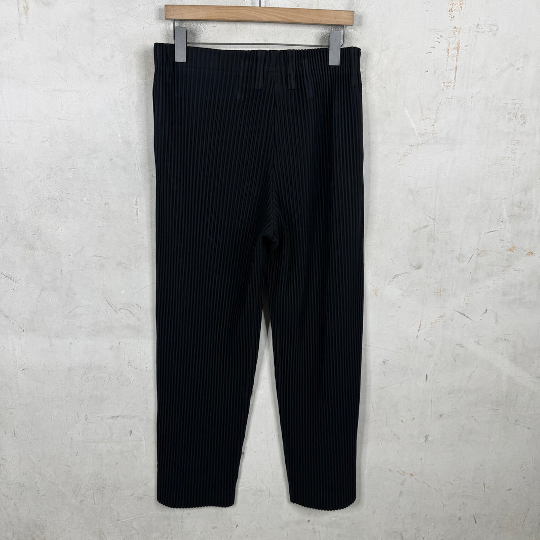 Issey Miyake Slim Straight Pleates Pants
