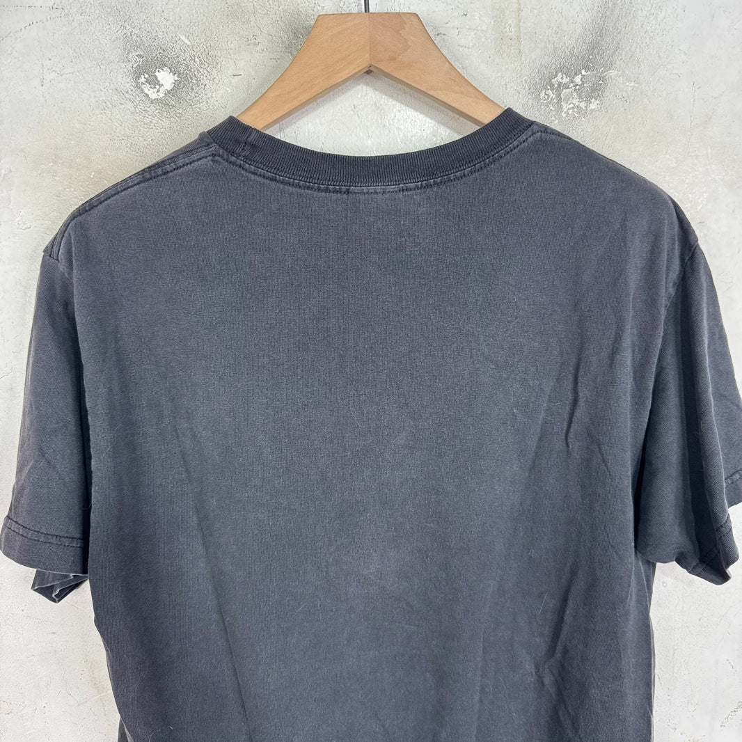 Vintage Faded Bad Religion Shirt