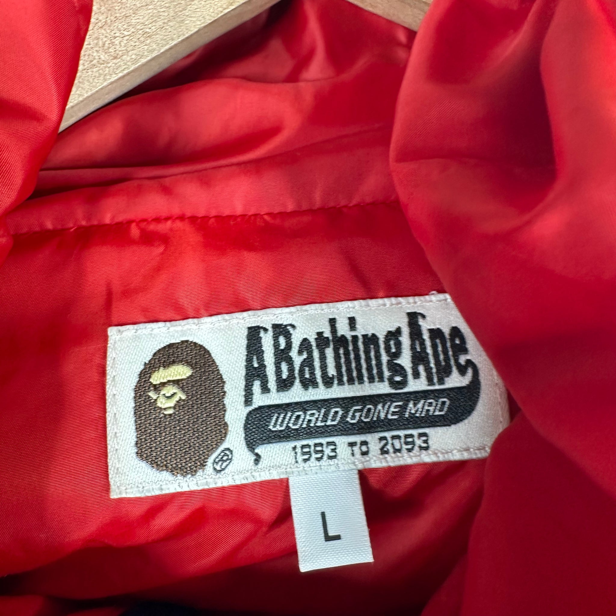 Bape Boa Snowboard Jacket