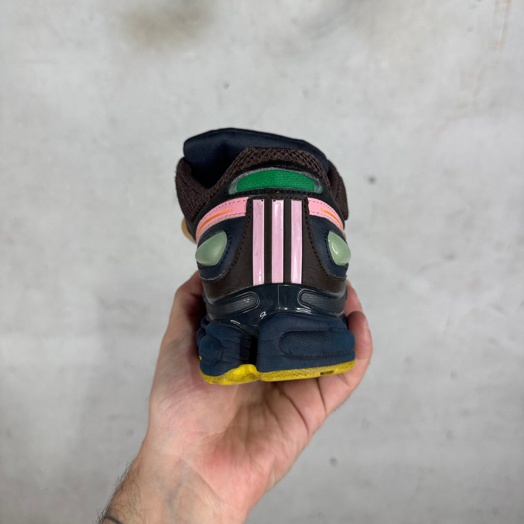Adidas x Raf Simons Multicolor Ozweego 1's