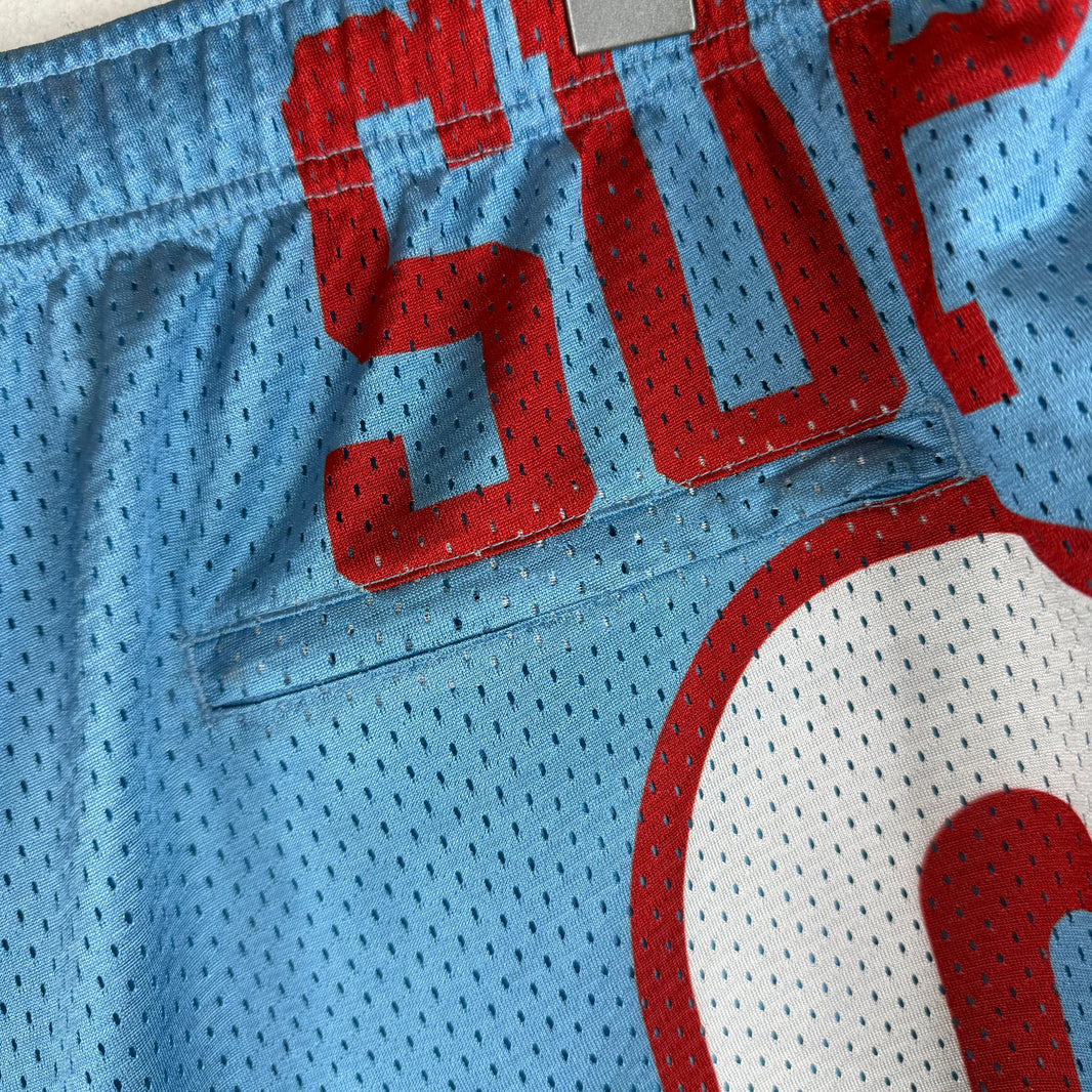 Supreme 94 Blue Mesh Shorts