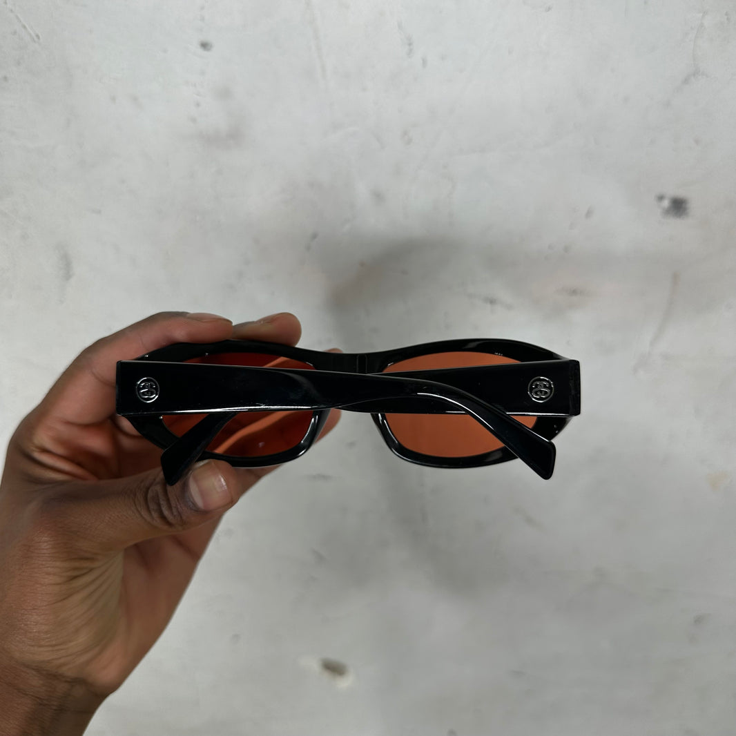 Stussy Landon Tinted Sunglasses