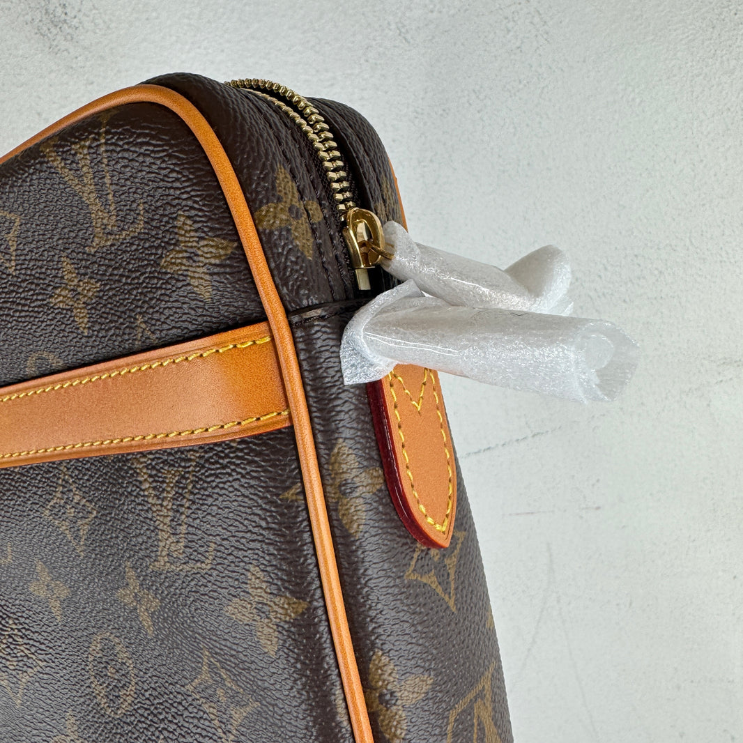 Louis Vuitton Monogram Danuber Side Bag