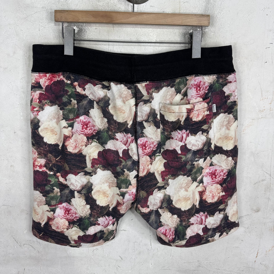 Supreme PCL Shorts