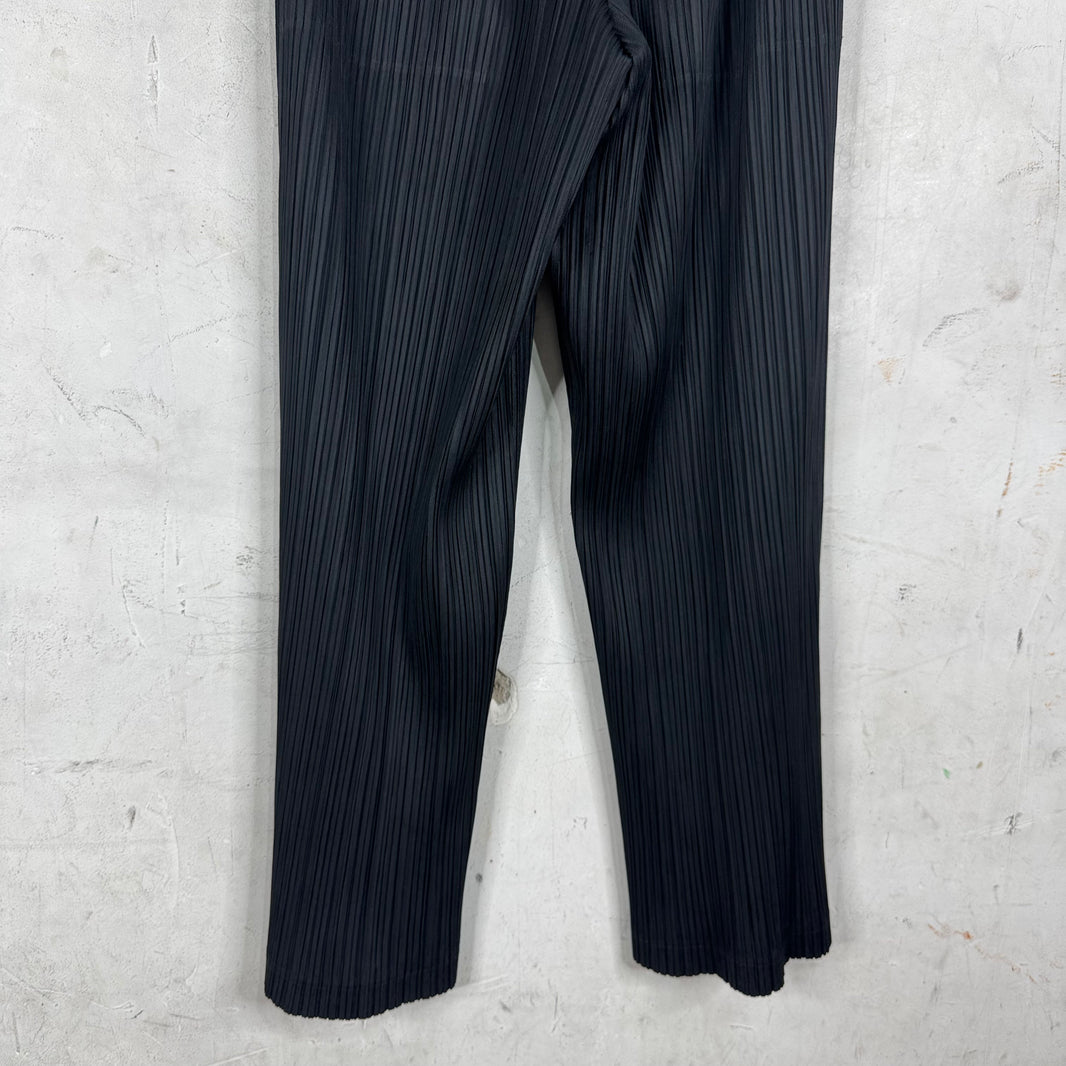 Issey Miyake Pleates Please Black Pants